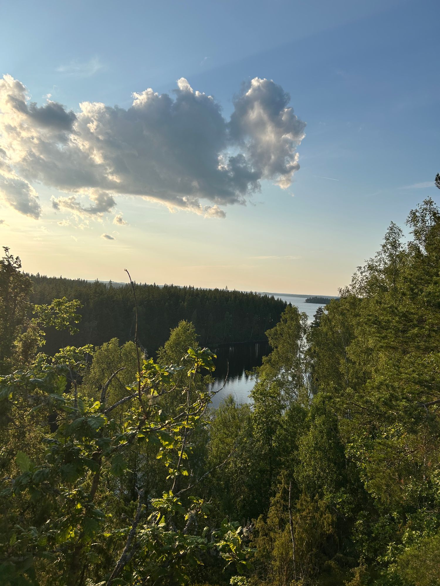 Liten gård – bild 15 av 18
