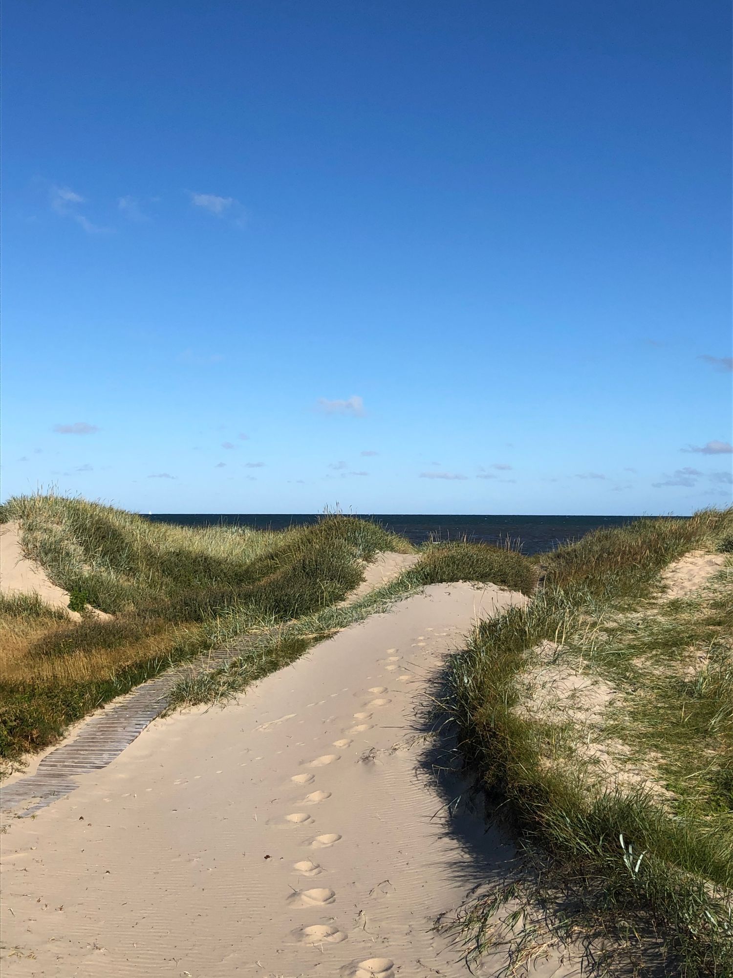 Rymlig familjestuga 200 m från havet – Glommen – bild 5 av 24