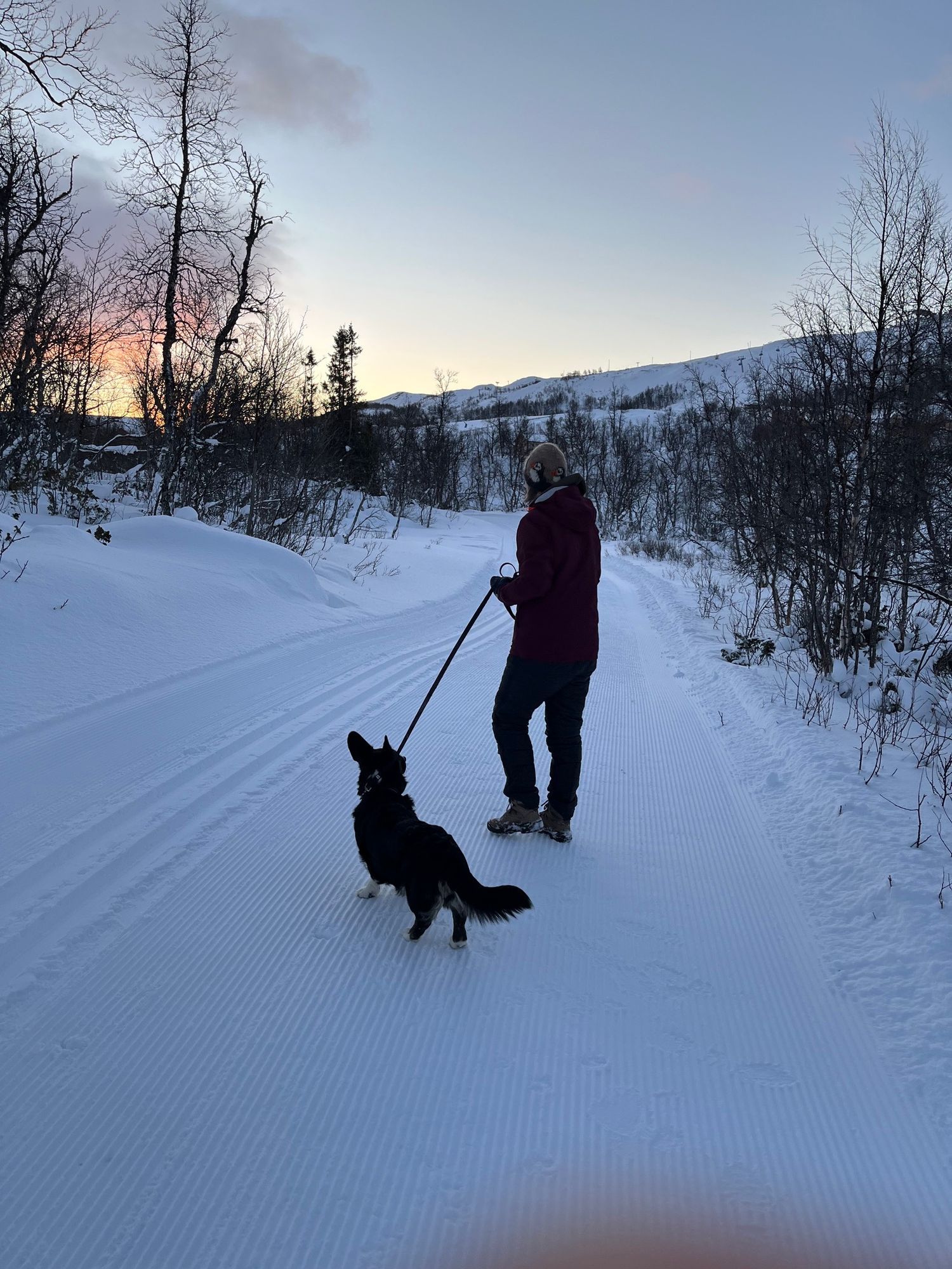 Stuga för familj, vänner, (hund) Tänndalens Alpina – bild 17 av 19