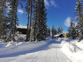 Blockhütte mit Nähe zum Baden, Angeln, Wintersport