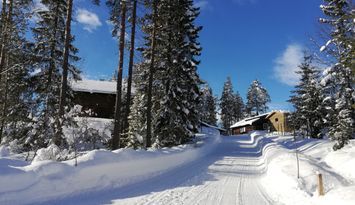 Blockhütte mit Nähe zum Baden, Angeln, Wintersport