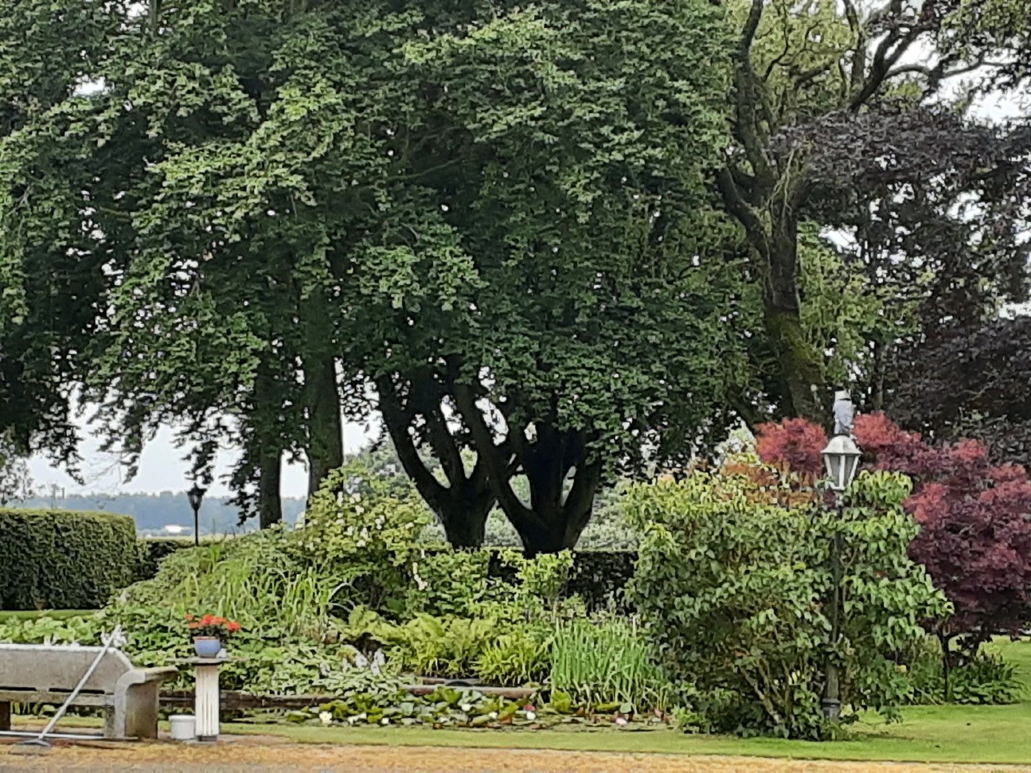 Havsnära stuga på Österlen, Sandby, Mälarhusen – bild 14 av 23
