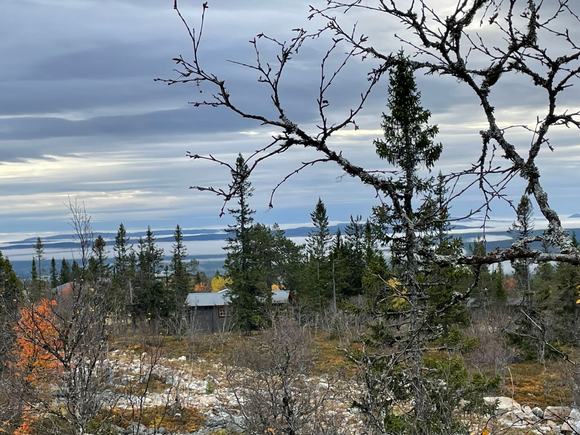Fjällstuga toppläge, Sångbäcksvallen/Klövsjö – bild 18 av 19