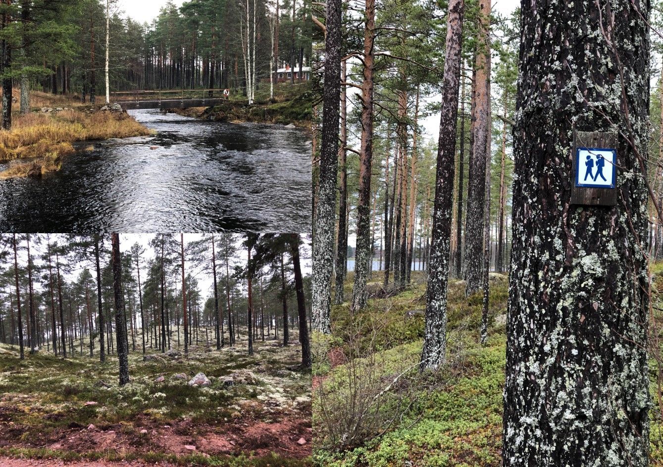 Mysig stuga i Venjan – bild 21 av 24