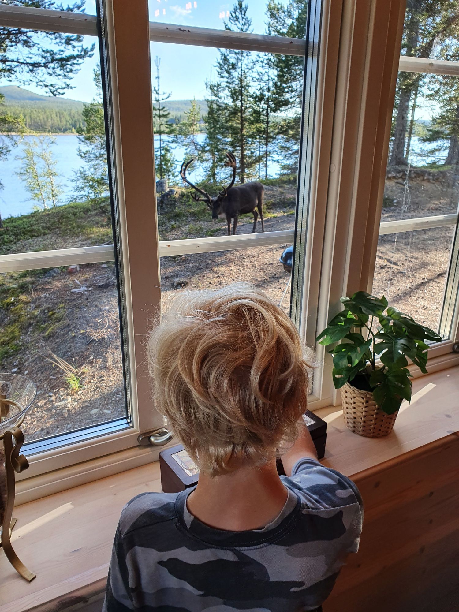 Idyllisk fjällstuga på egen udde vid sjö I Båt – bild 21 av 24