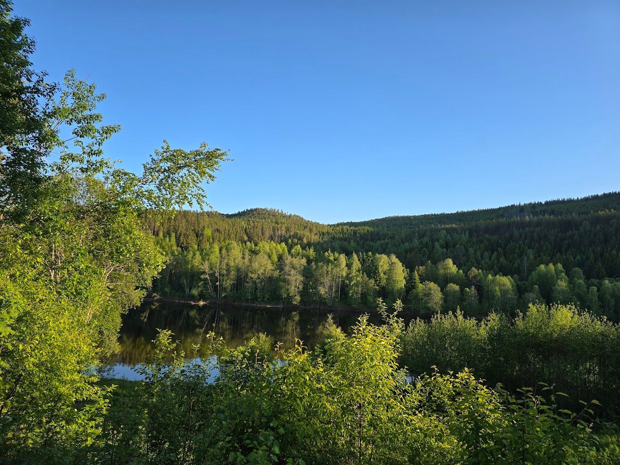 Fritidshuset vid Klarälven – bild 19 av 22