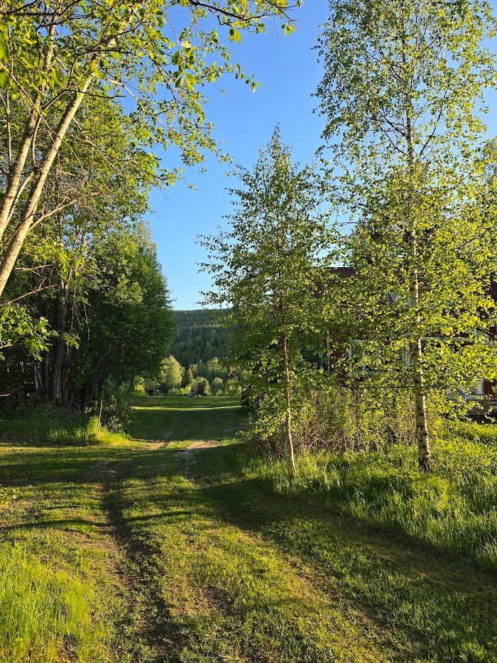 Fritidshuset vid Klarälven – bild 20 av 22