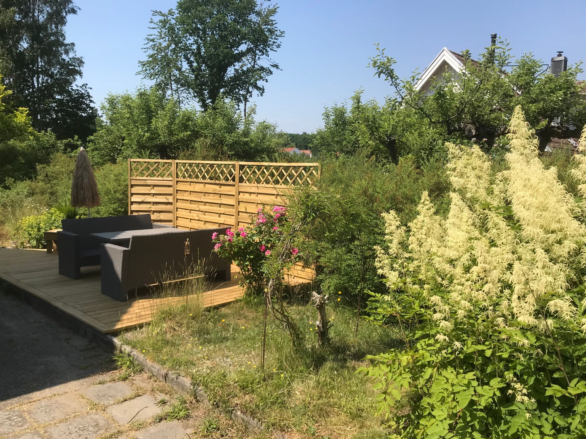 Österlen Baskemölla 6+2 bäddar, nära hav.Äv. w-end – bild 3 av 24