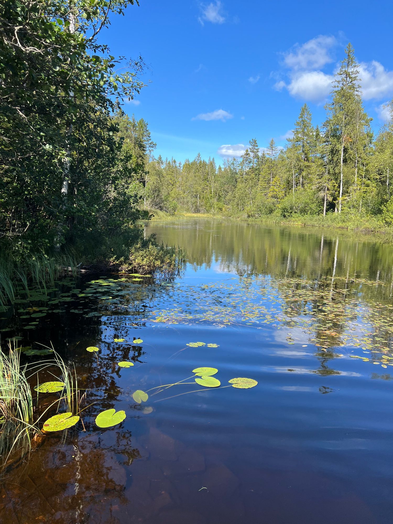 Mysig stuga nära Ånnaboda och Kilsbergens natur – bild 9 av 10