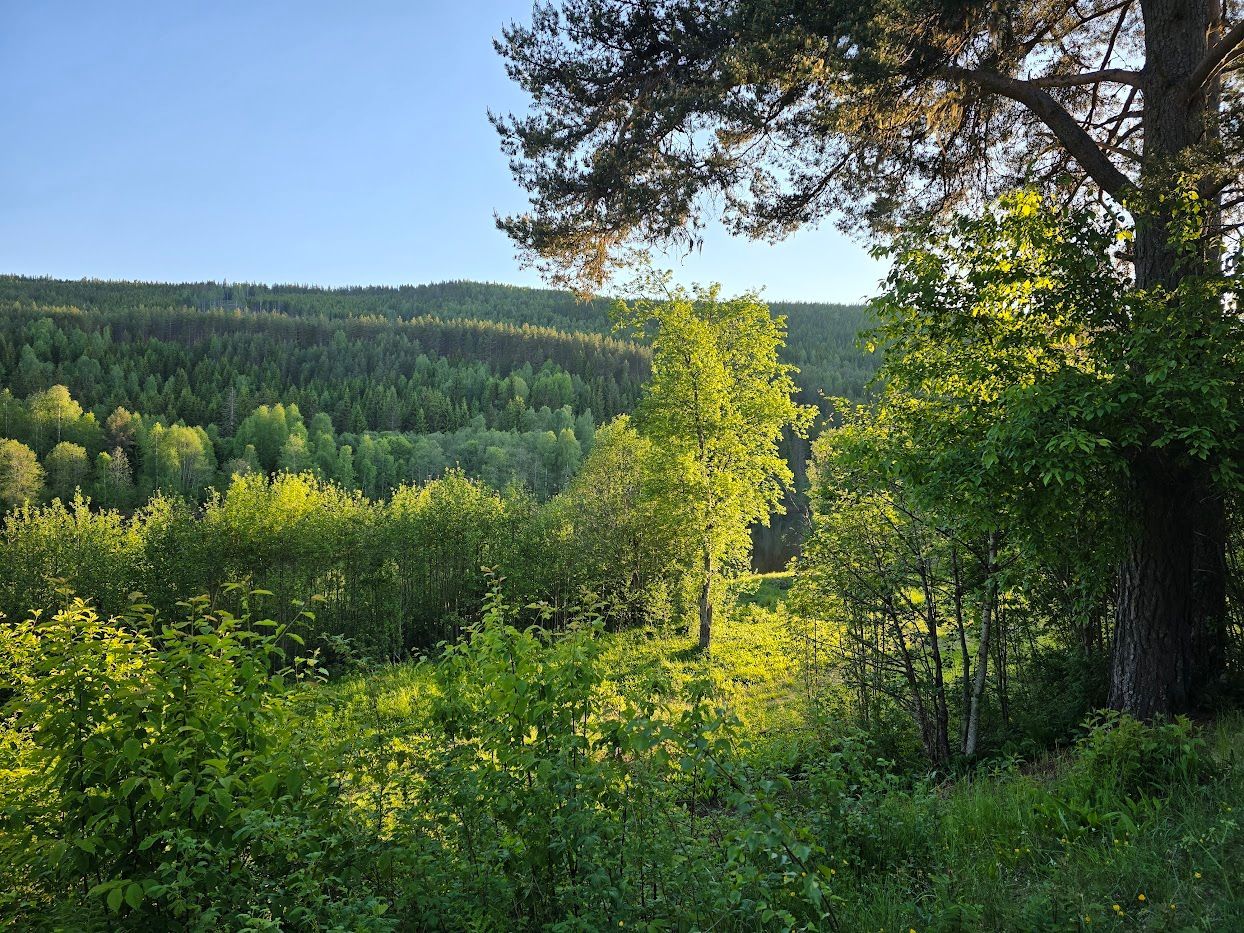 Fritidshuset vid Klarälven – bild 21 av 22