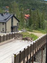 Nybyggd lägenhet i bästa ski in ski out i Vemdalen