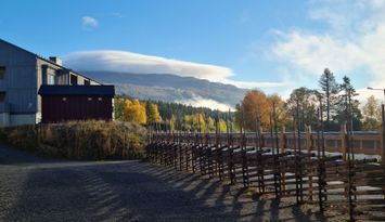 Fräsch lägenhet i Tegefjäll
