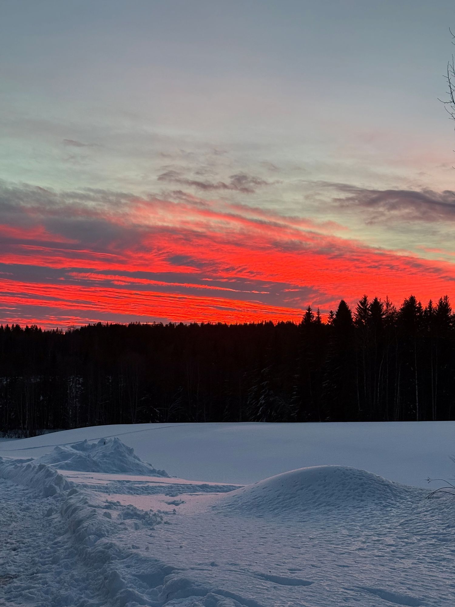 Lantligt hus nära Skellefteå – natur, lugn – bild 12 av 13