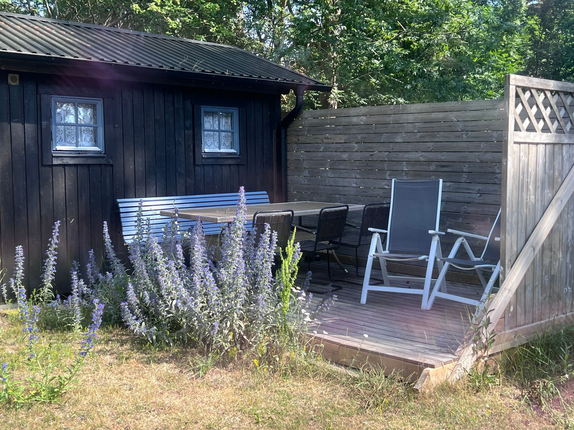 Strandnära stuga med havsutsikt – bild 22 av 24