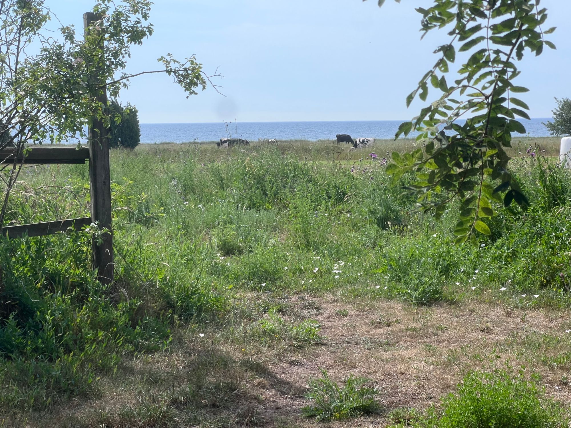 Strandnära stuga med havsutsikt – bild 24 av 24