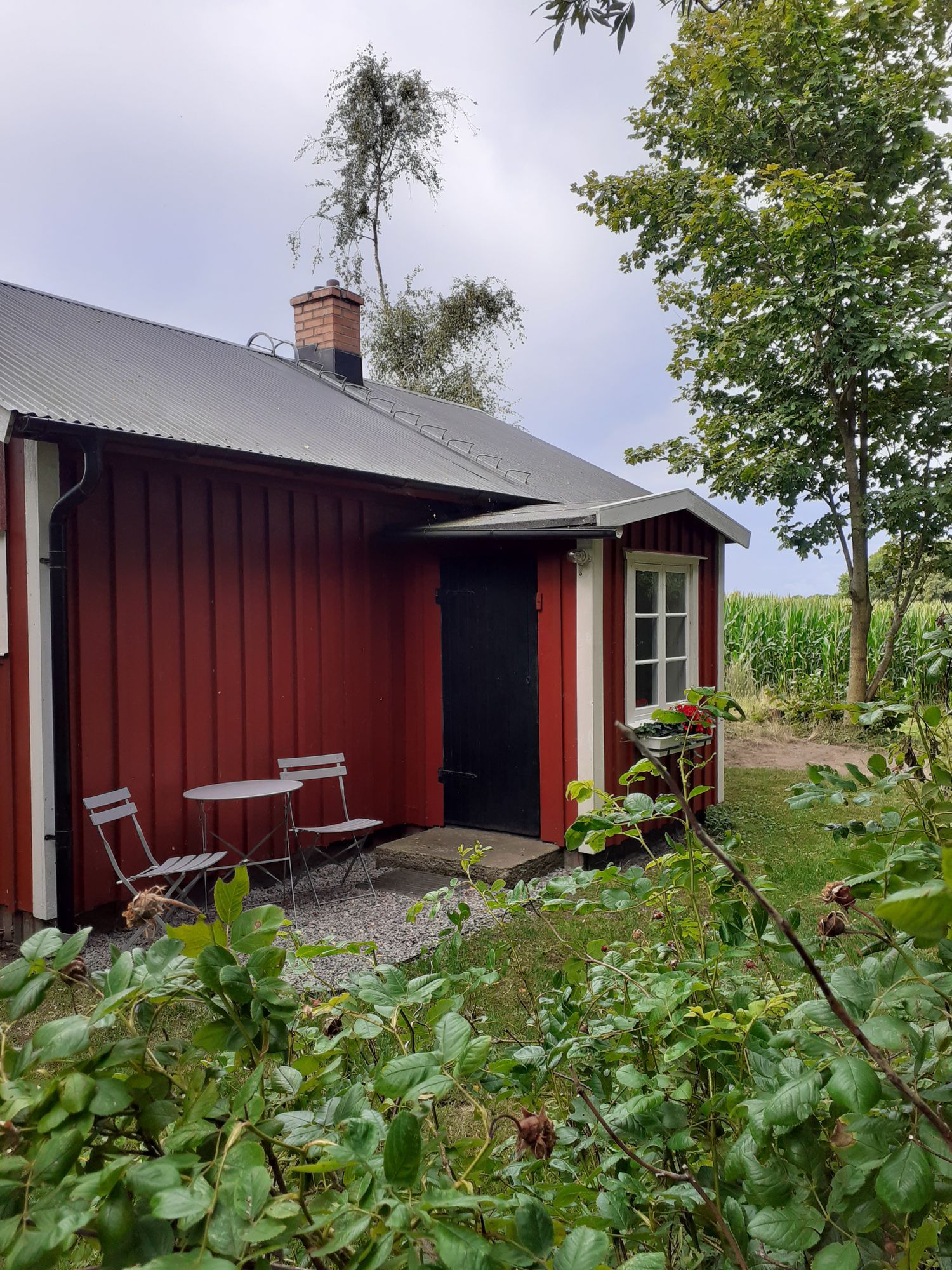 Lantligt torp nära havet – bild 17 av 22