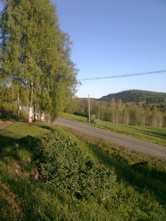 Stuga i vacker jordbruksmiljö uthyres – bild 2 av 7