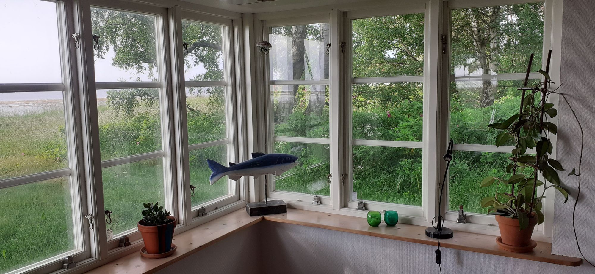 Stuga alldeles vid havet – bild 14 av 17