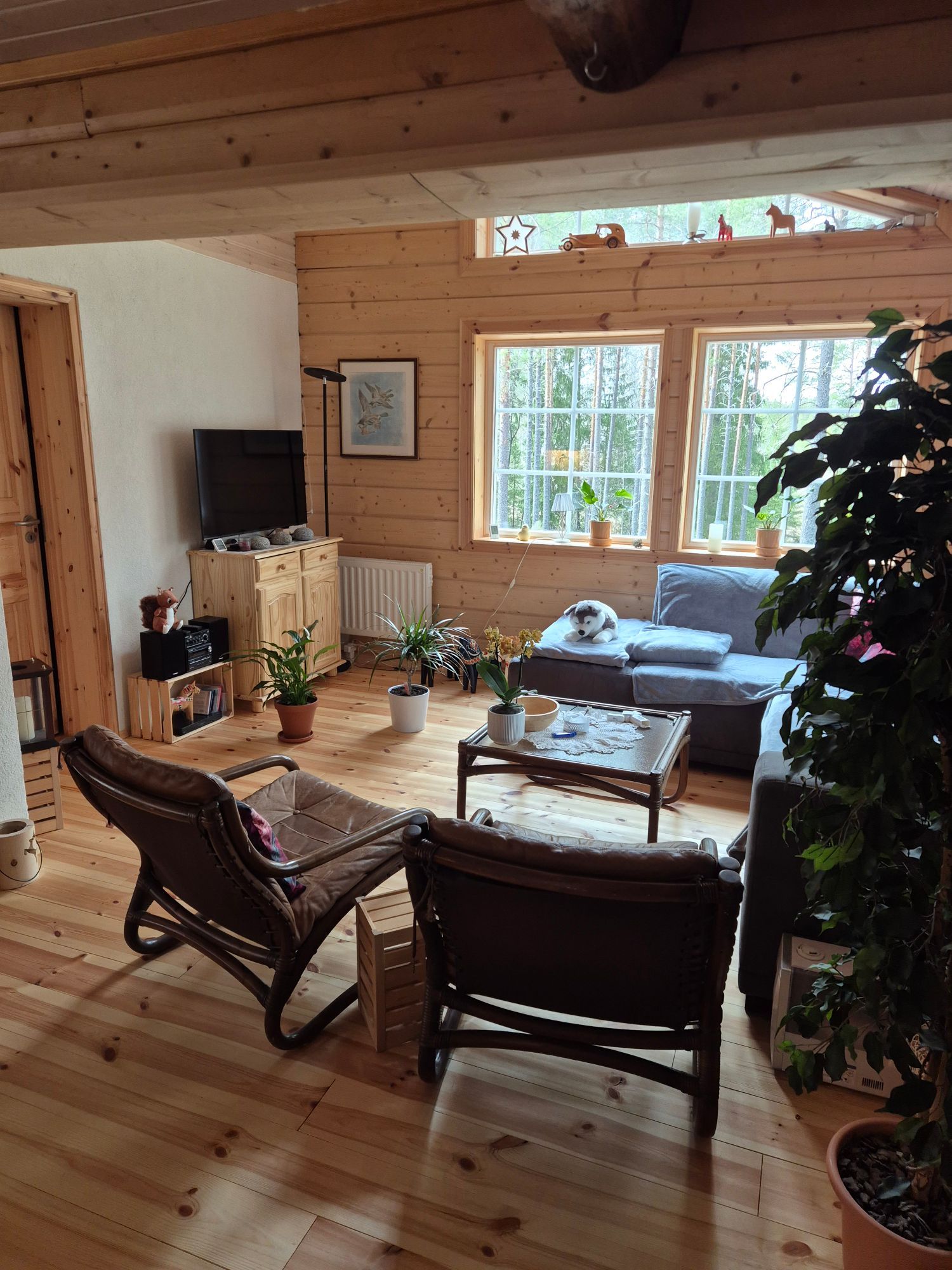 Att leva som i paradiset – bild 7 av 11