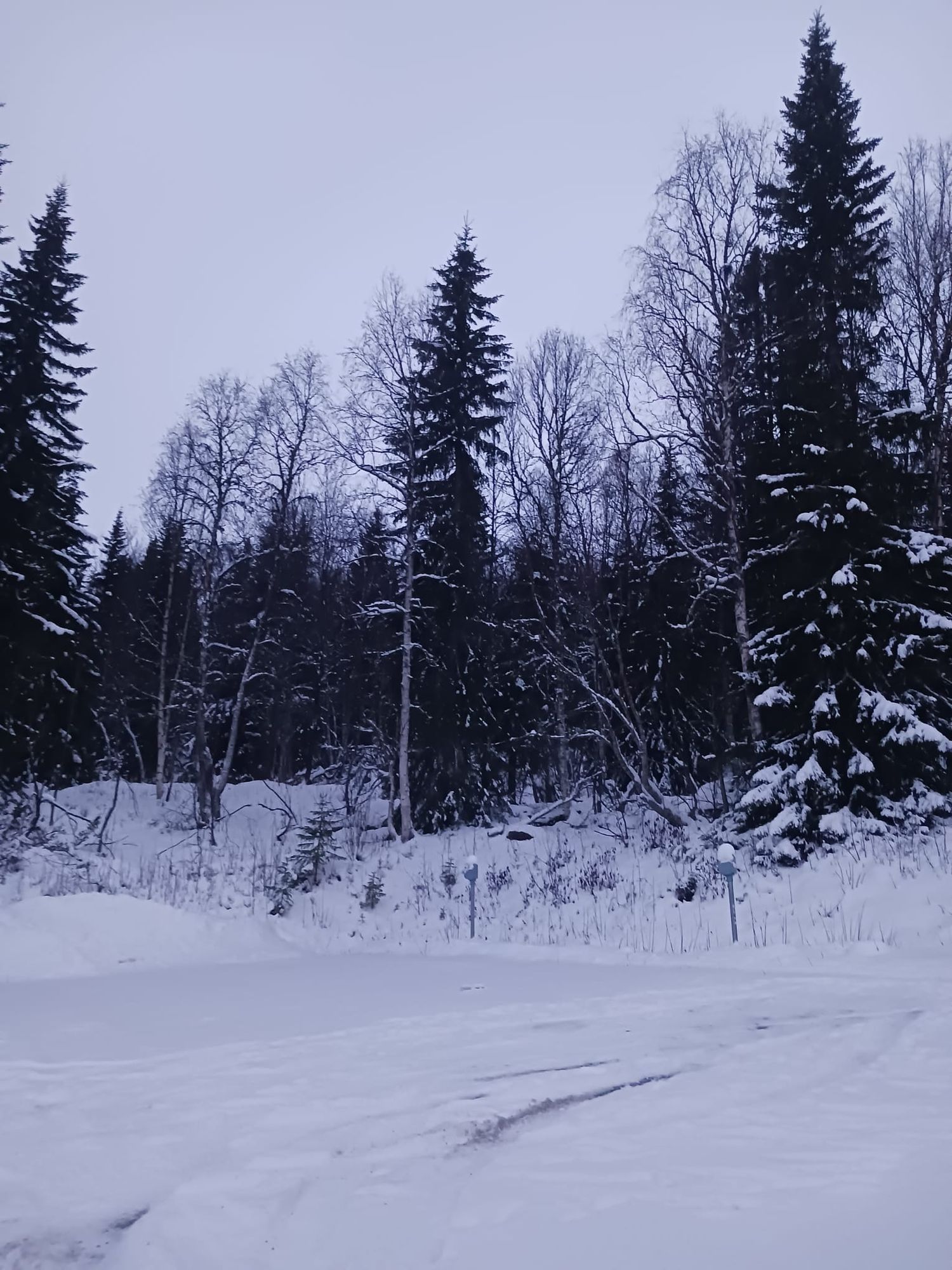Natur och lugnt Lägenhet i Tärnaby – bild 11 av 12