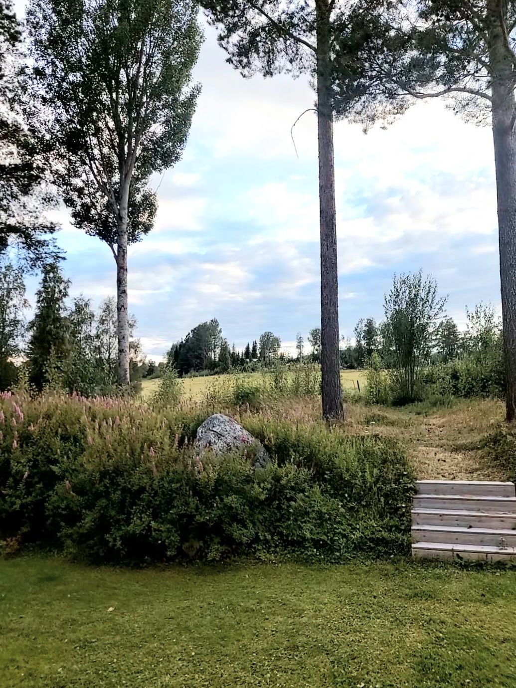 Grym stuga naturnära. Husdjuret får följa med! – bild 15 av 15