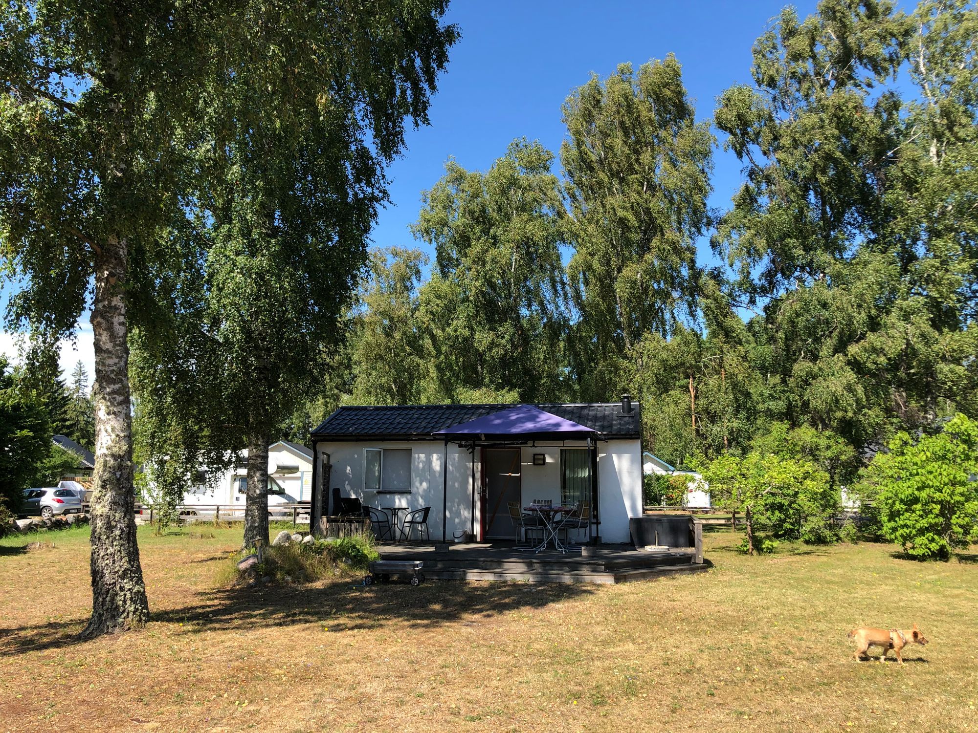 Mysig stuga på västra Gotland – nära hav och golf
