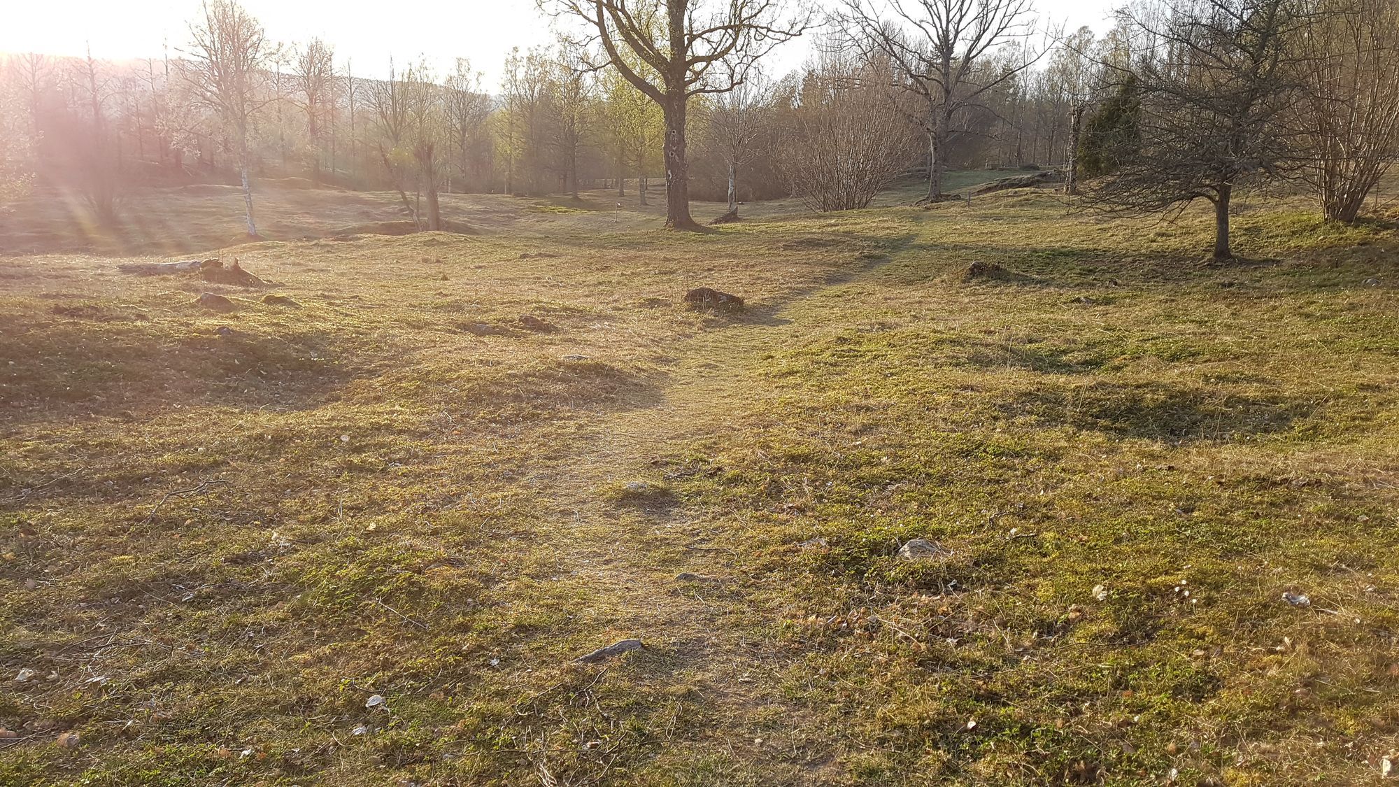 En mysig stuga mitt i ett naturreservat i Dalsland – bild 24 av 24