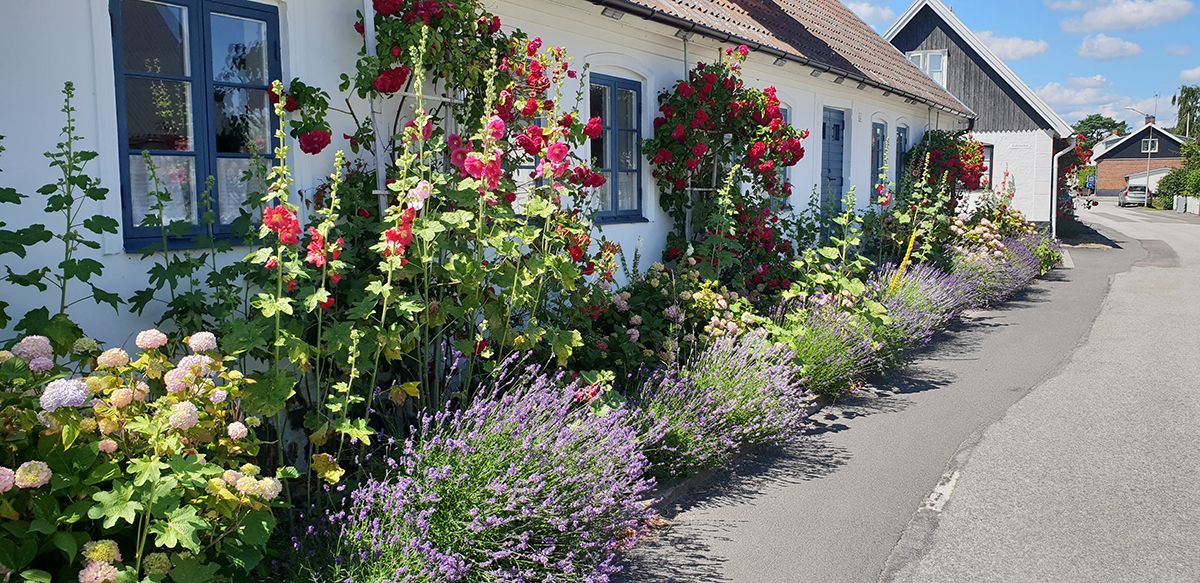 Farmors länga i gamla Vitemölla, Österlens pärla – bild 7 av 23