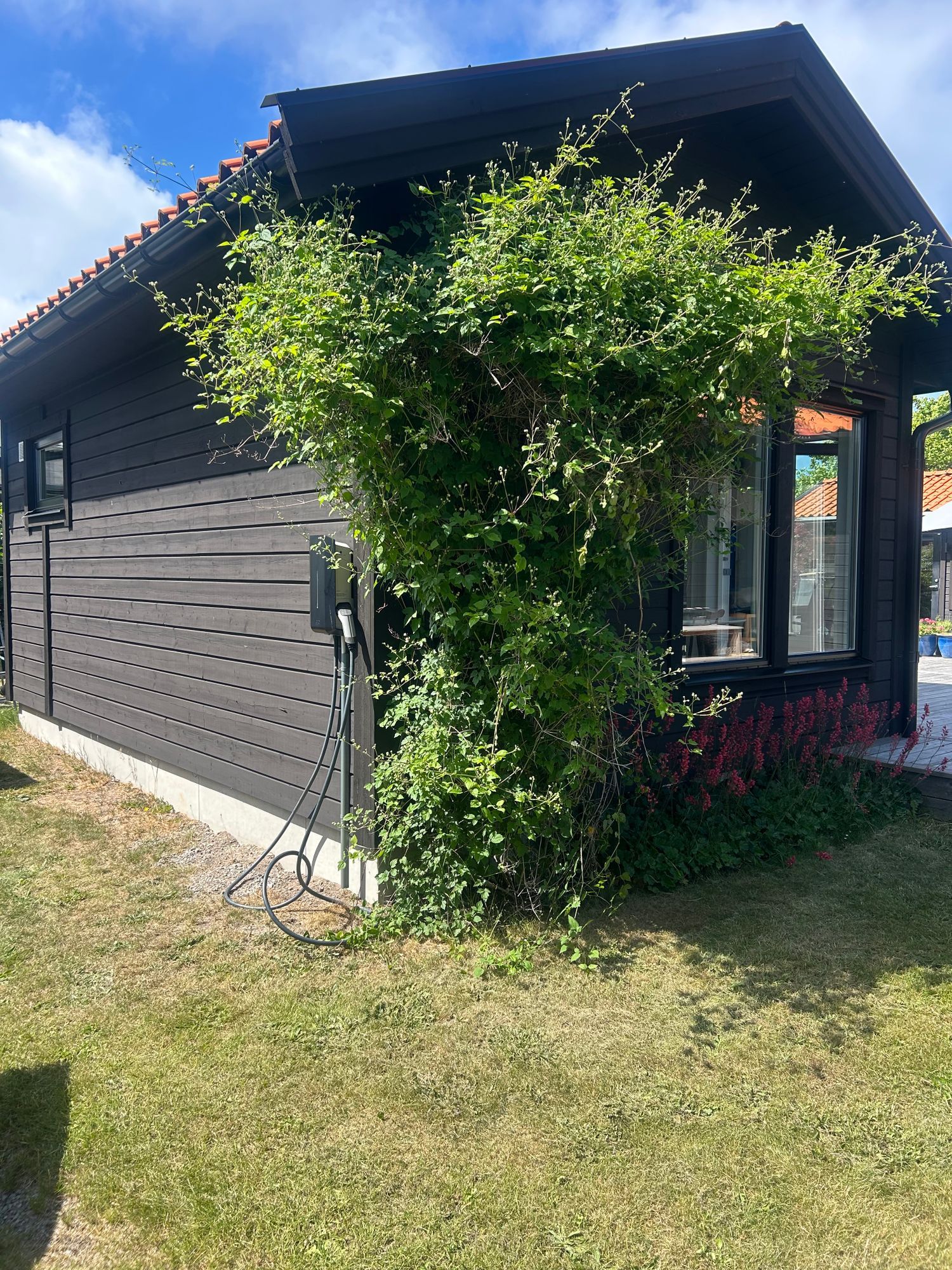 Strandnära gäststuga – bild 2 av 12