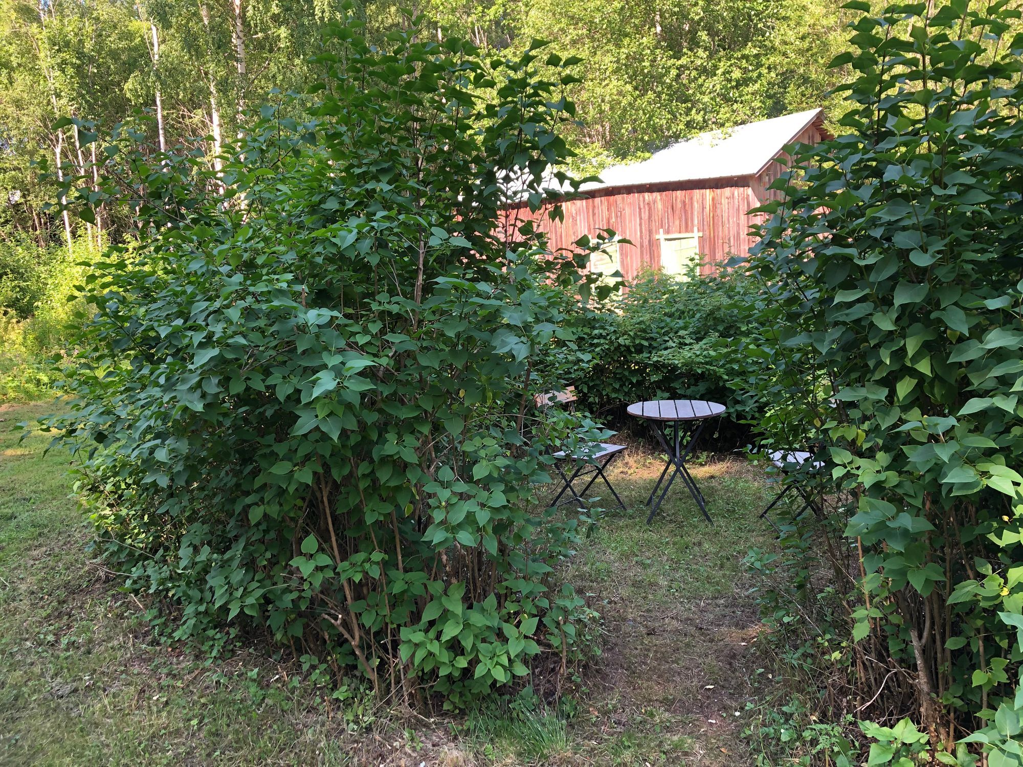 Mysig Sommarstuga utanför Näsåker – bild 11 av 12