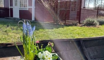 Aspö Karlskrona skärgård