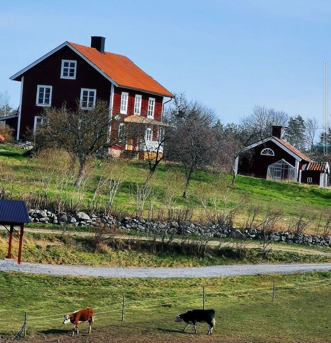 Mysigt lantligt 1800-talshus – bild 2 av 24