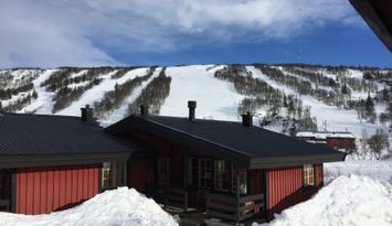 Fjällstuga i Storlien/ Fjällien stuga 49