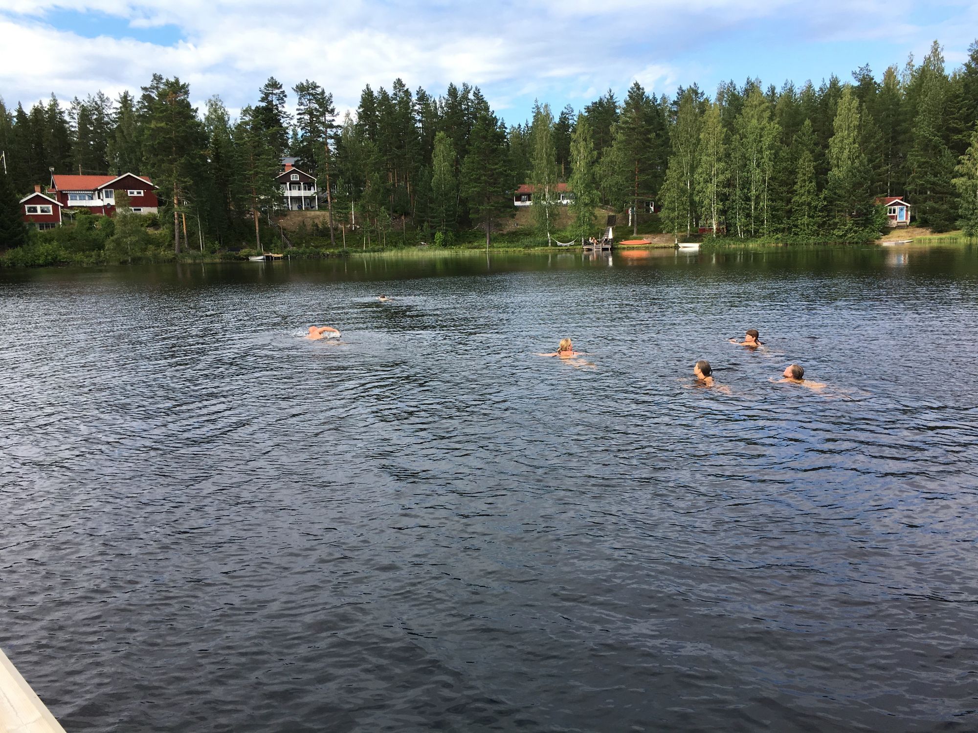 Sjötomt, roddbåt & bastu i lantlig skogsmiljö. – bild 21 av 24