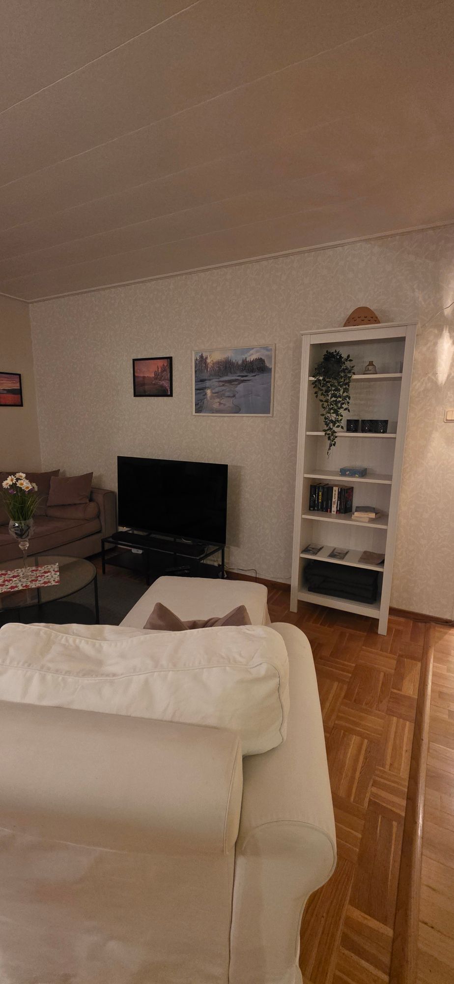 Villa Moose i Vidsel – Nära Storforsen – bild 14 av 24
