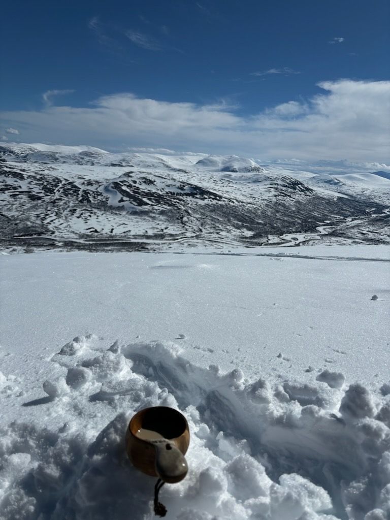 Ski-in ski-out Åre med fri utsikt över Renfjället – bild 9 av 18