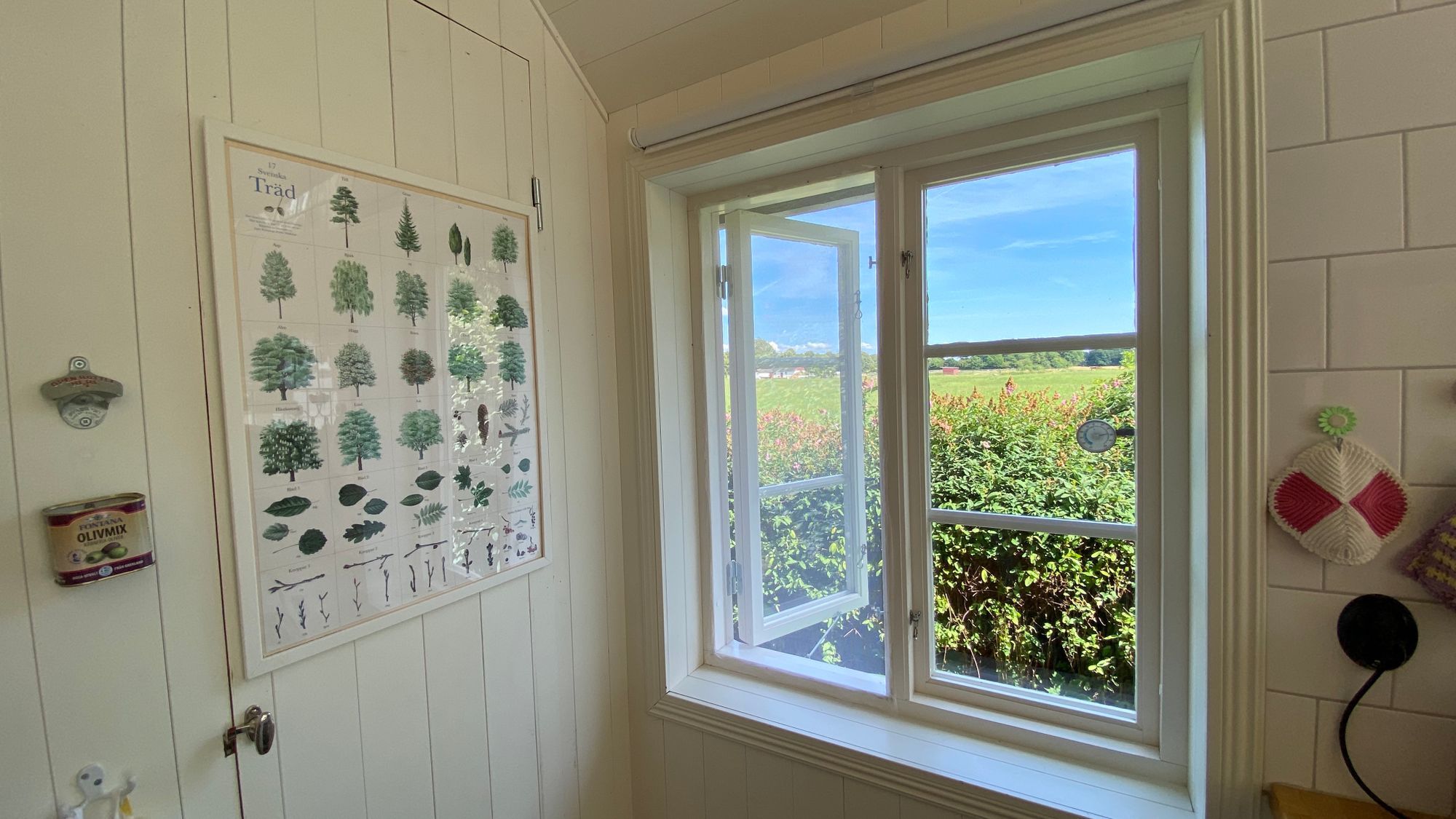 Fint hus med egen brygga - bra fiske – bild 12 av 24