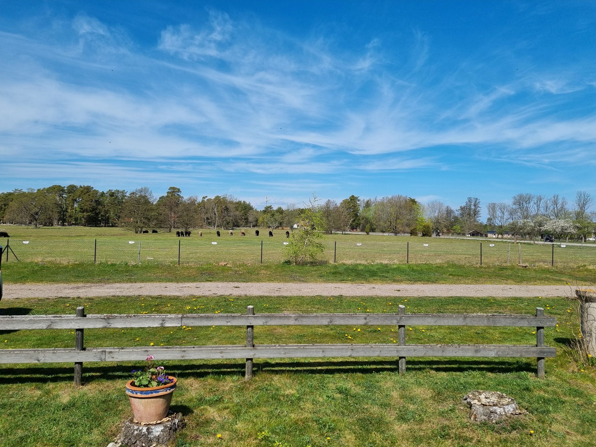 Trivsam marklägenhet uthyres i Böda, Norra Öland – bild 6 av 14