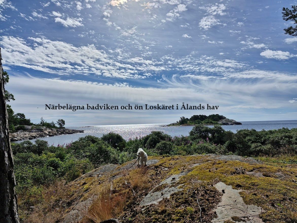 Havsnära fritidshus i Grisslehamn, 10-personer. – bild 5 av 24
