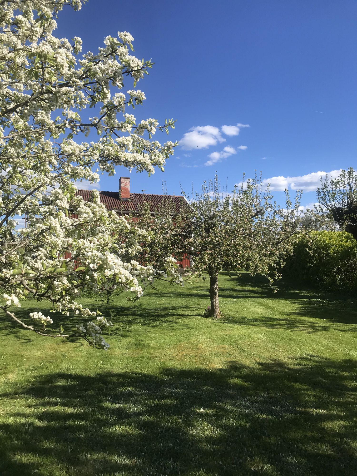 Stuga på landet, (Vimmerby/Eksjö/Mariannelund) – bild 6 av 24
