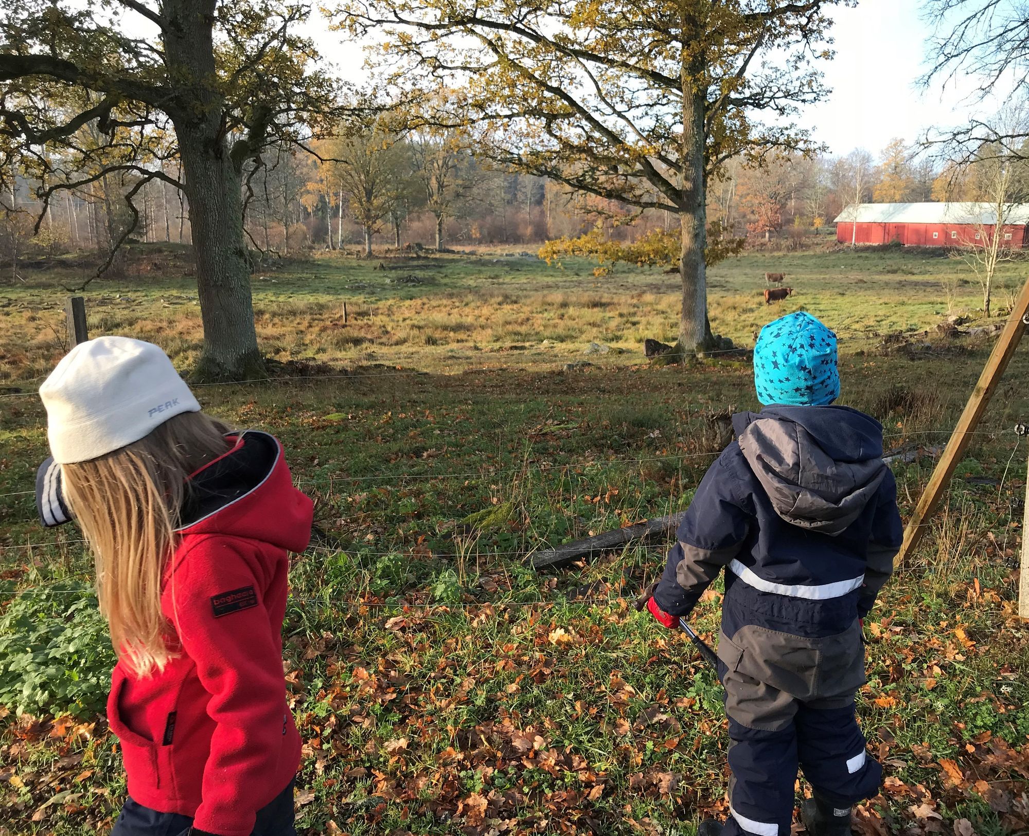 Fiske och skogspromenader mitt i Glasriket. – bild 8 av 11