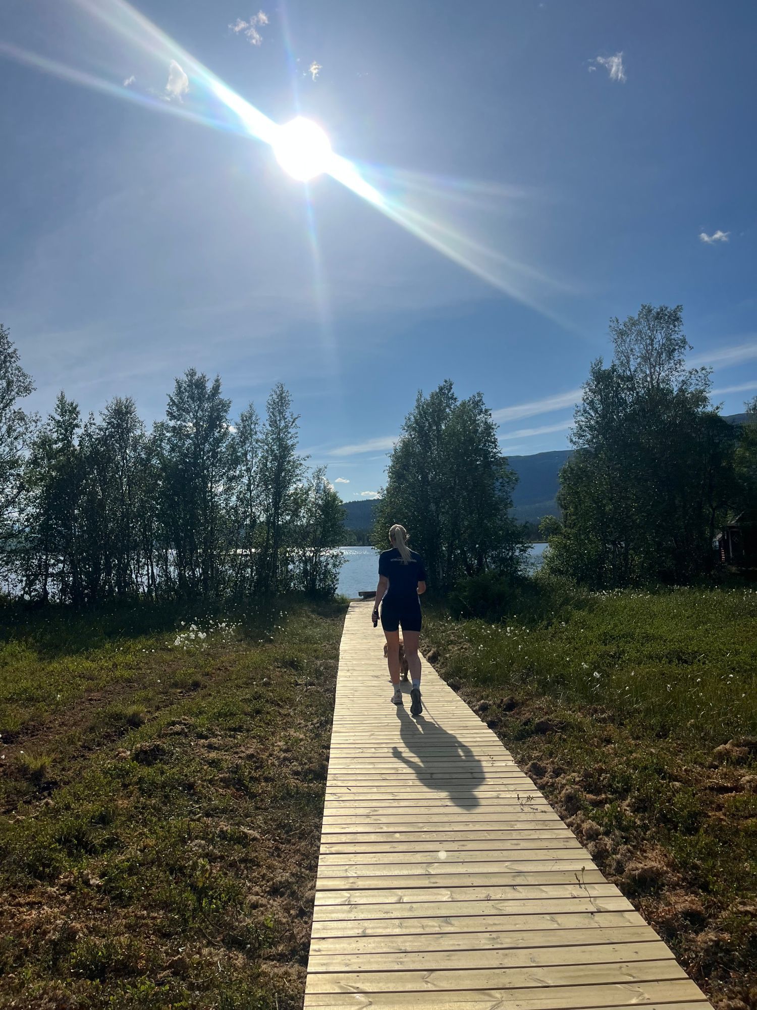 Stuga med fjäll- och sjöutsikt, bastu, och kamin – bild 23 av 24