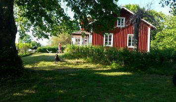 Unique sunshine over the sea, morning and evening