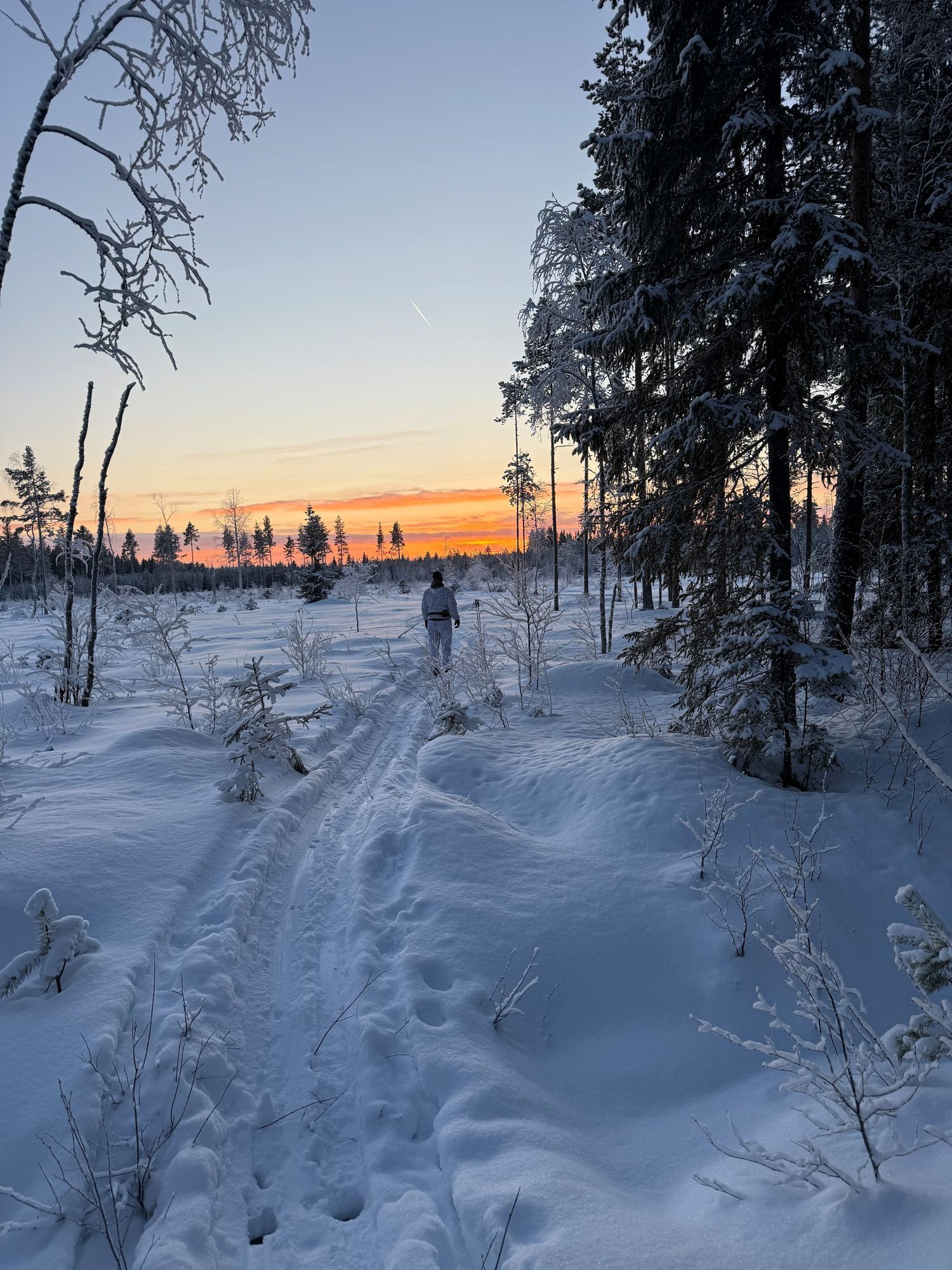 Lantligt hus nära Skellefteå – natur, lugn – bild 13 av 13