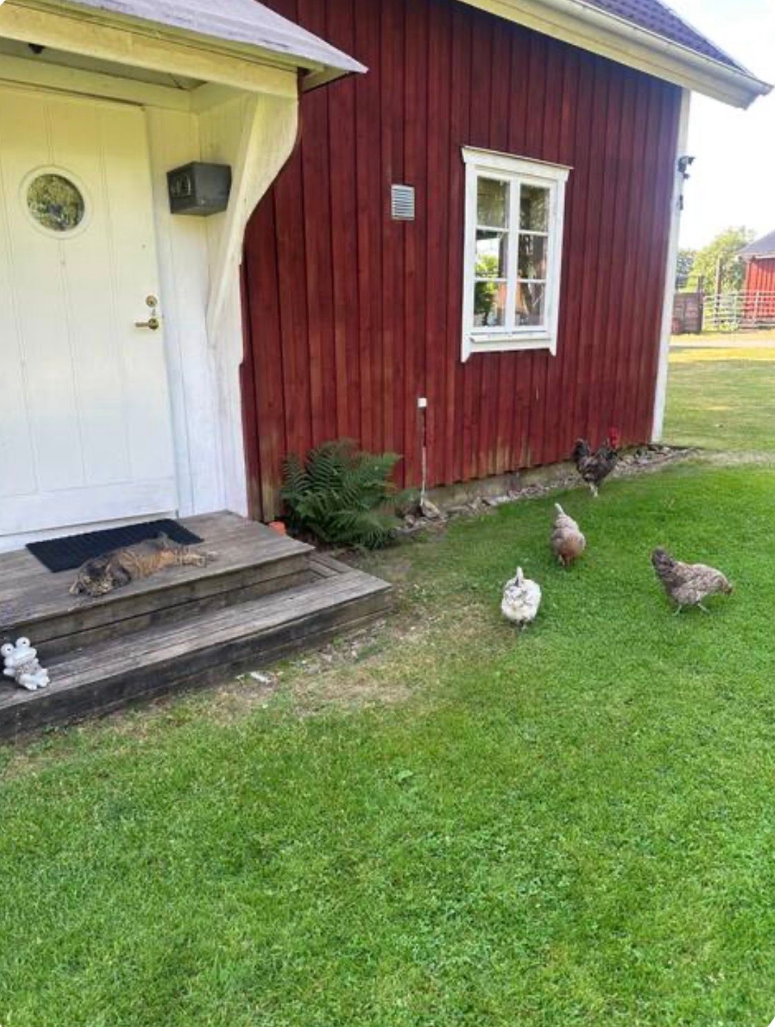 Mysig stuga på gård med bastu & eldplats – bild 3 av 24