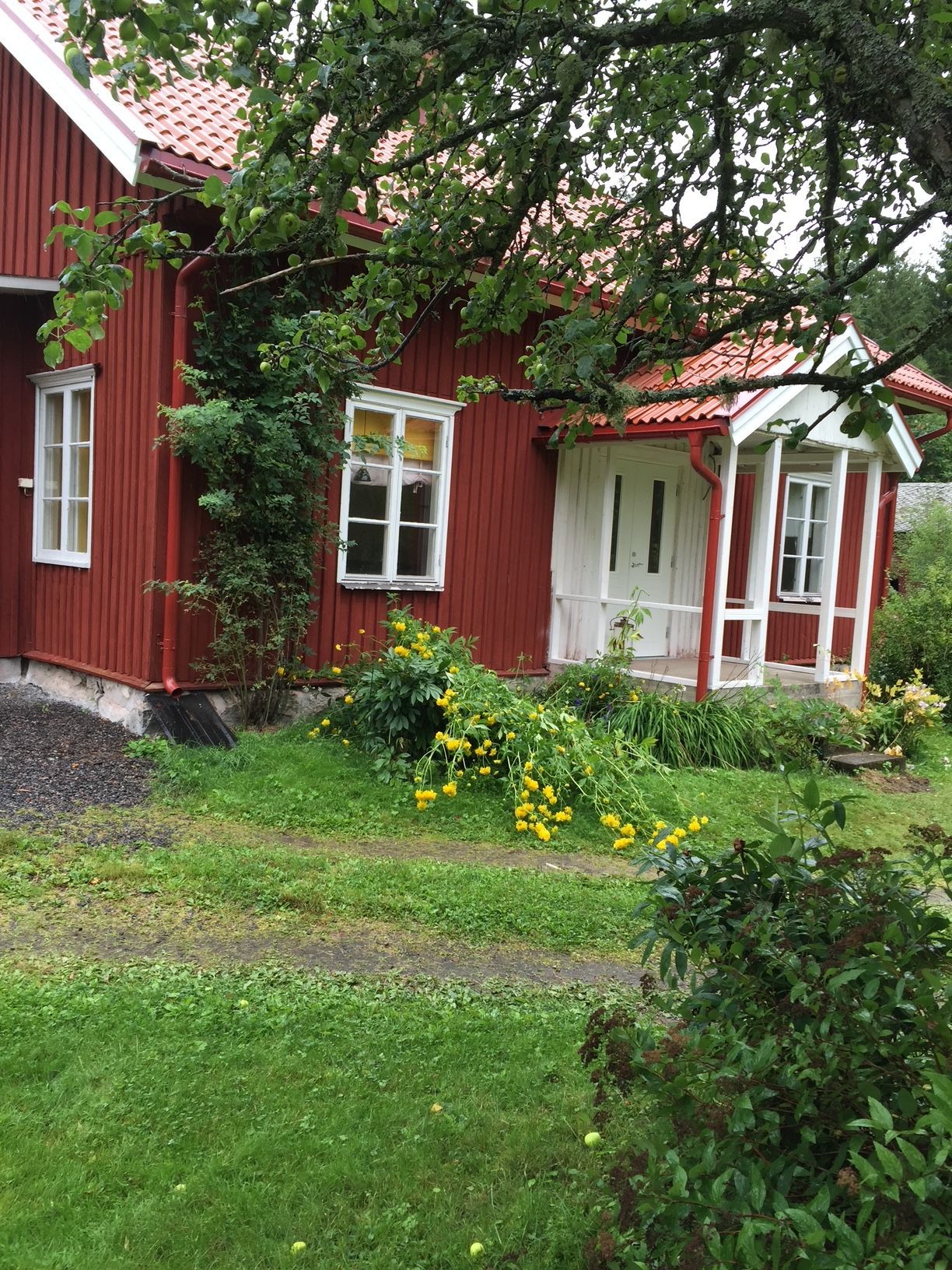 Ostörd idyll på gammal mindre gård