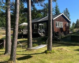 Scenic Views and Dog-Friendly Adventures