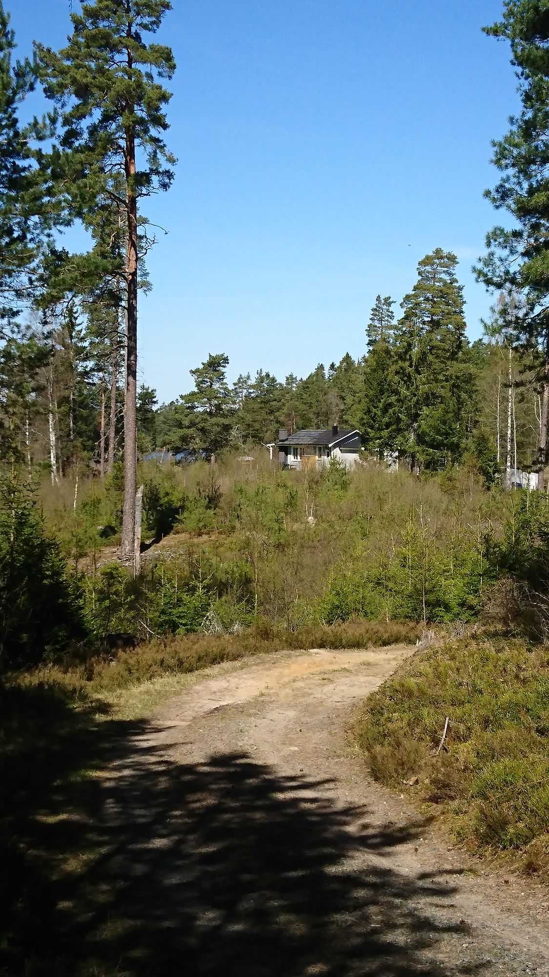 Härlig stuga med sjötomt och ostört läge – bild 10 av 24