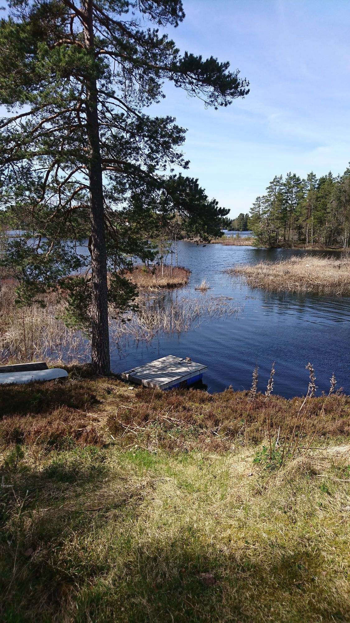 Härlig stuga med sjötomt och ostört läge – bild 20 av 24