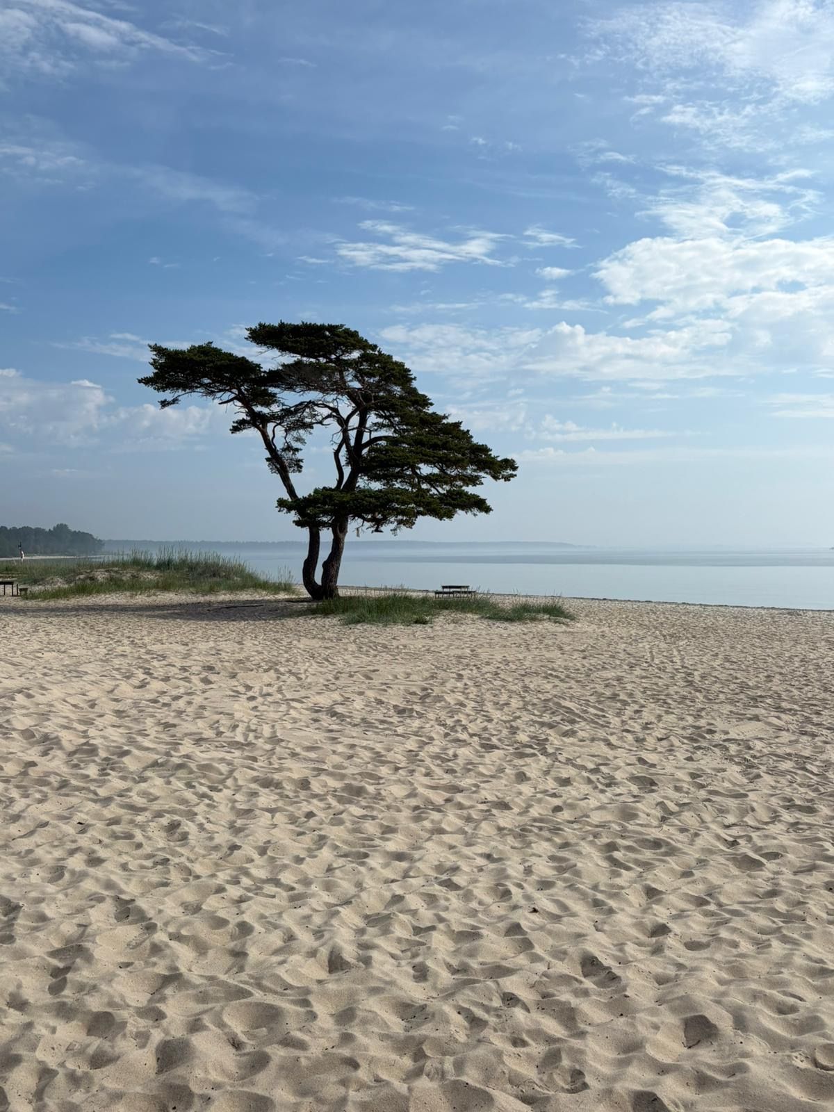 Mysigt, rymligt med närhet till strand & Åhus by – bild 20 av 20